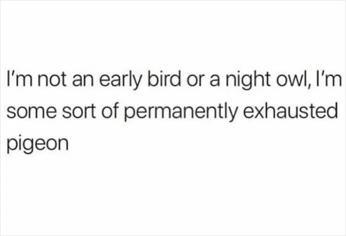 78 Hilarious Memes That Made The Internet A Slightly Better Place Today