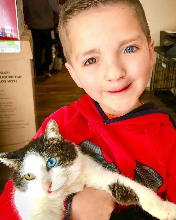 A 7-Year-Old Boy Who Was Bullied For His Different Coloured Eye And Cleft Lip Adopts A Cat With The Same Conditions