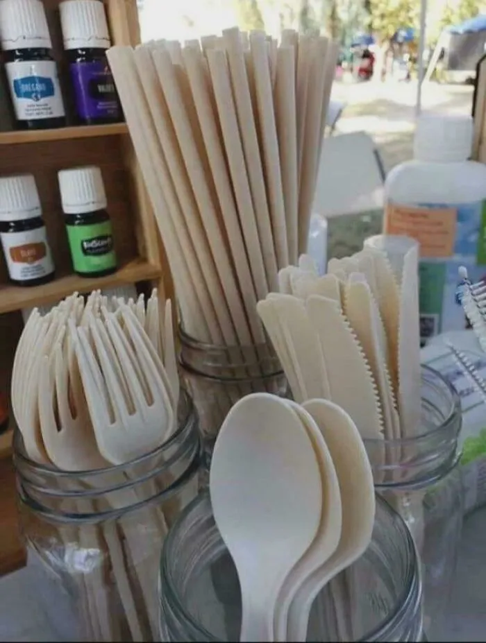 A Mexican Company Makes Plastic Cutlery And Straws From Avocado Seeds That Completely Biodegrade In 240 Days