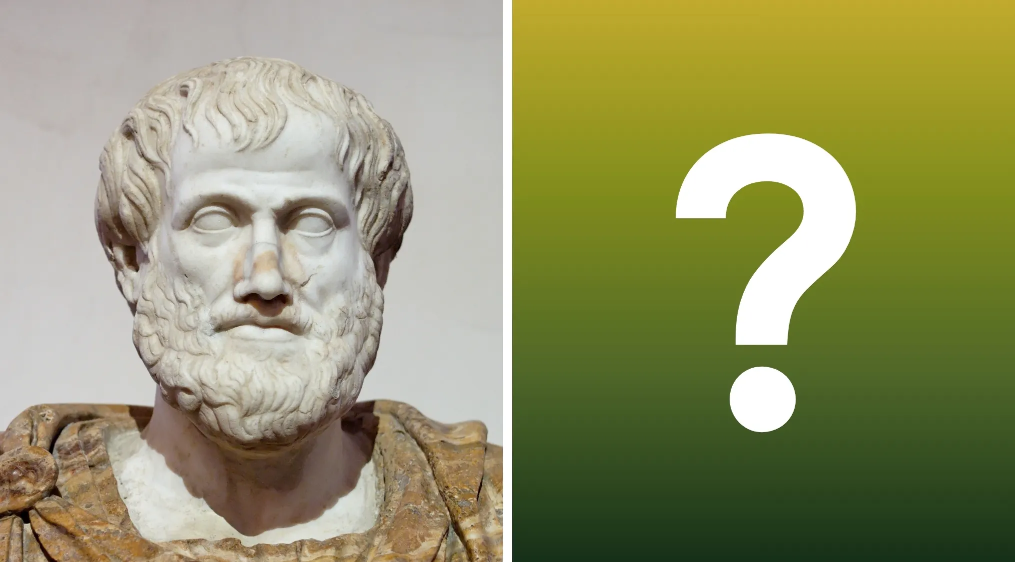 A marble bust of Aristotle next to a green background with a large white question mark, relating to metaphysics.