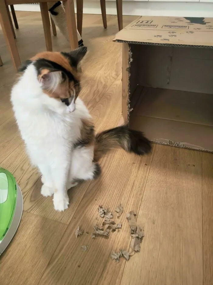 Nope. No Idea Who Did That