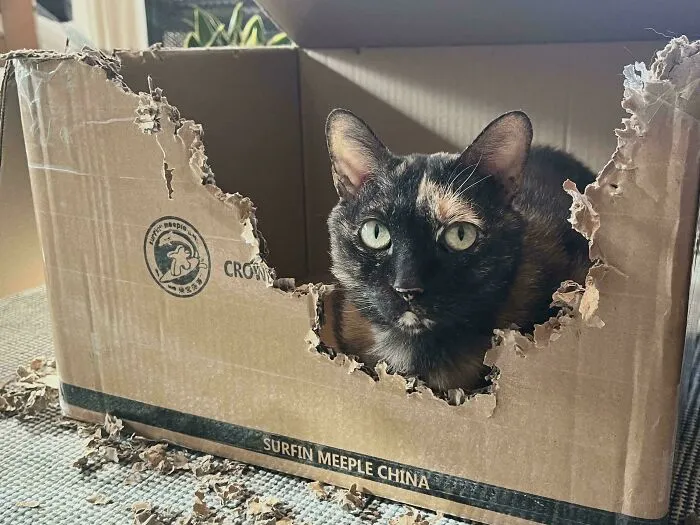 “It Was Like This When I Found It”