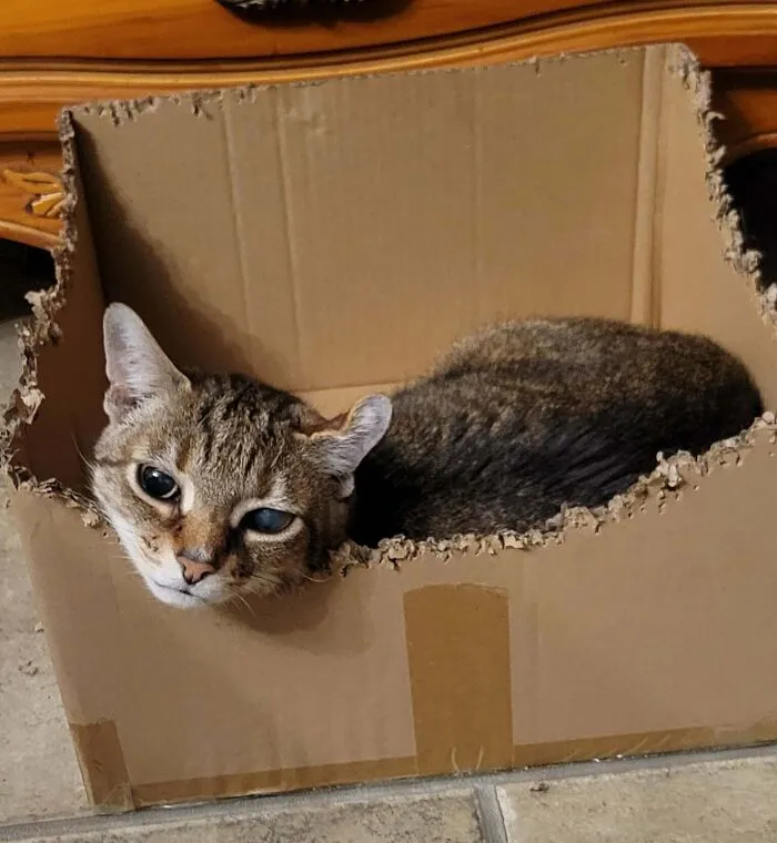 I Was Told To Post Charlie Here