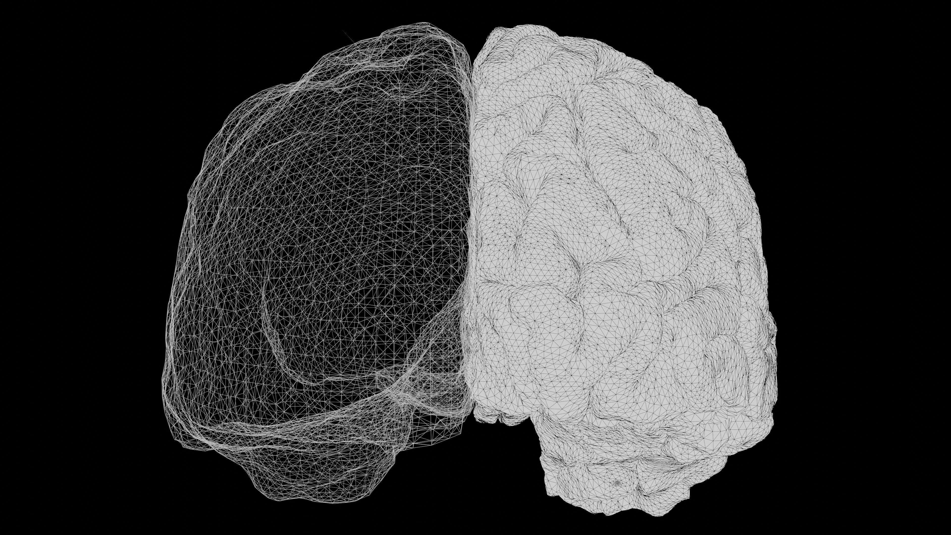 Human biology trivia: A wireframe brain, split with one side fully rendered, highlighting the brain's complexity.