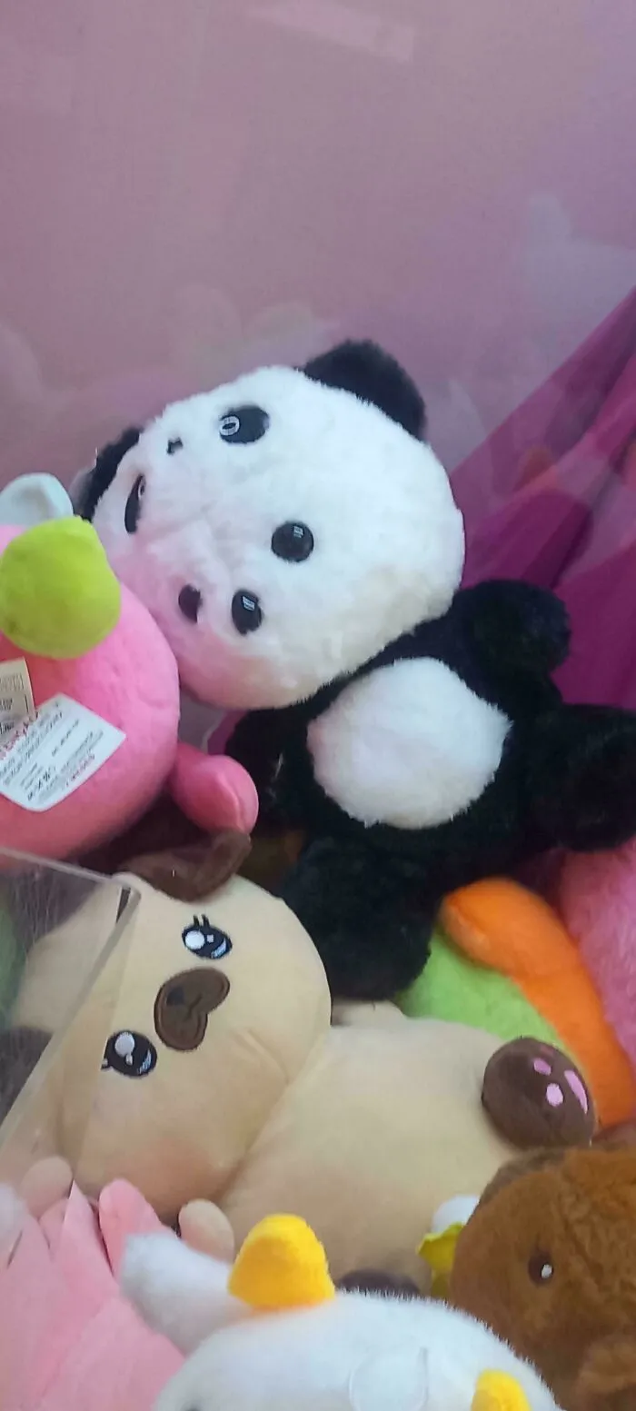 This Panda Plushie With, Apparently, Two Faces, I Found At A Claw Machine I Took My Baby Cousin To See In An Ice Cream Shop