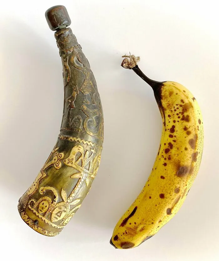 An antique carved powder horn placed next to a ripe yellow banana for scale