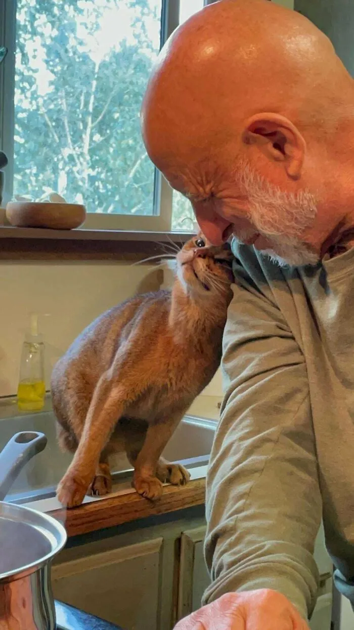 Loving cat nuzzling a senior man face in a moment of wholesome animal pics