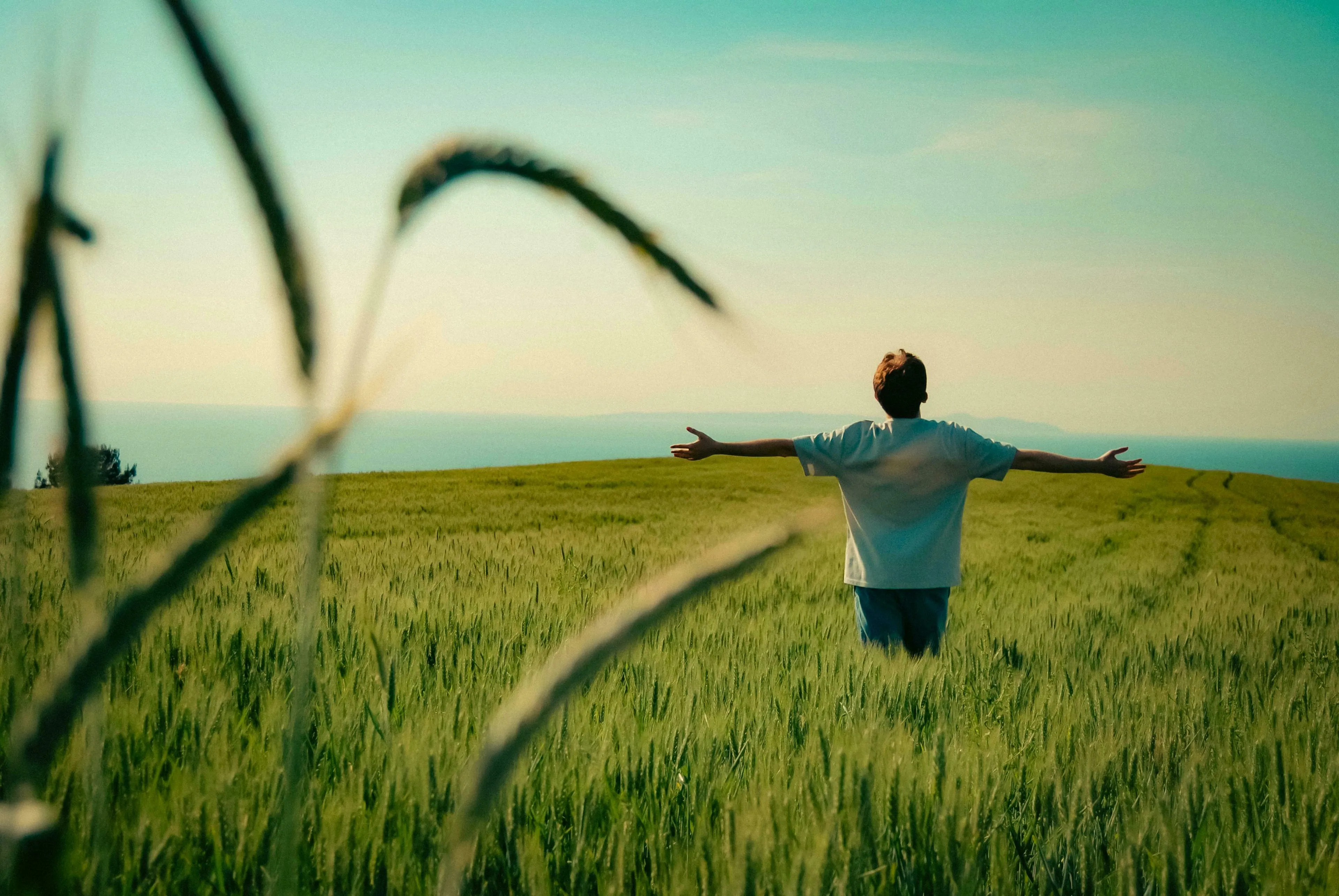 A person stands in a green field with arms outstretched, facing a distant blue sea and sky, wondering how this word is spelled.