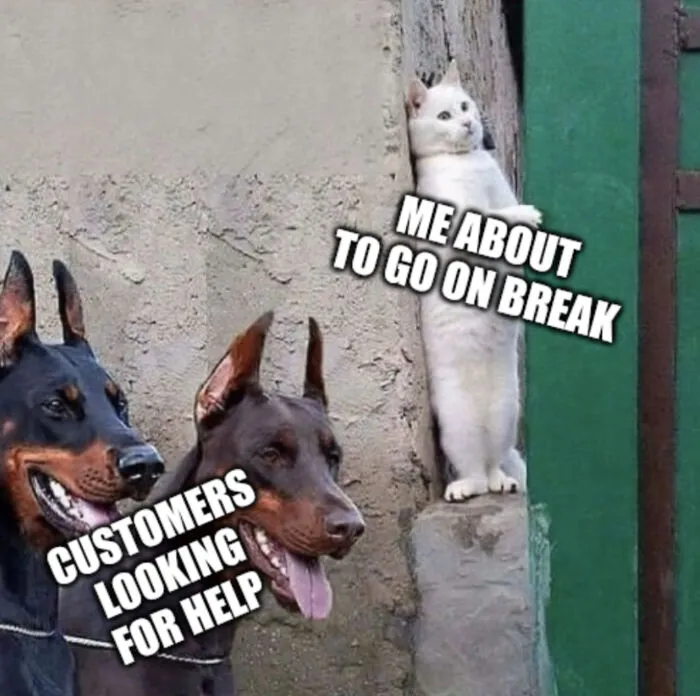 Cat hiding to go on break while customers look for help