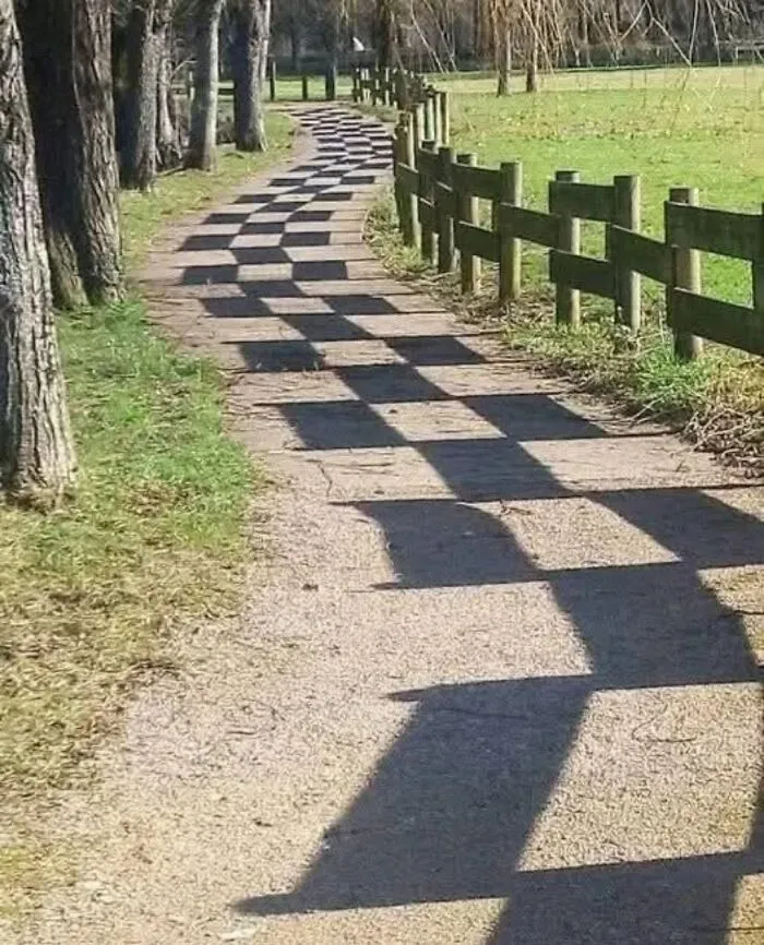 Camino combinado con sombras