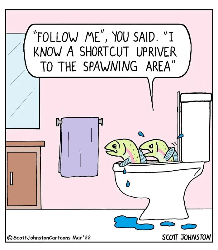 This Artist Creates One-Panel Comics With Jokes That Land Fast And Hit Hard (48 New Pics)