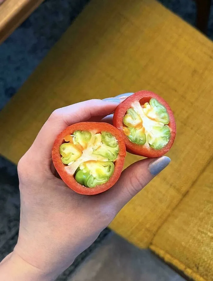 The Squeal I Squempt!!! Pre-Stuffed Pepper!! Pre-Stuffed Pepper!!