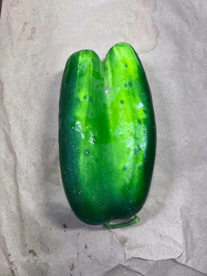 I’d Like To Present The Twocumber I Found At Work A Couple Of Years Ago