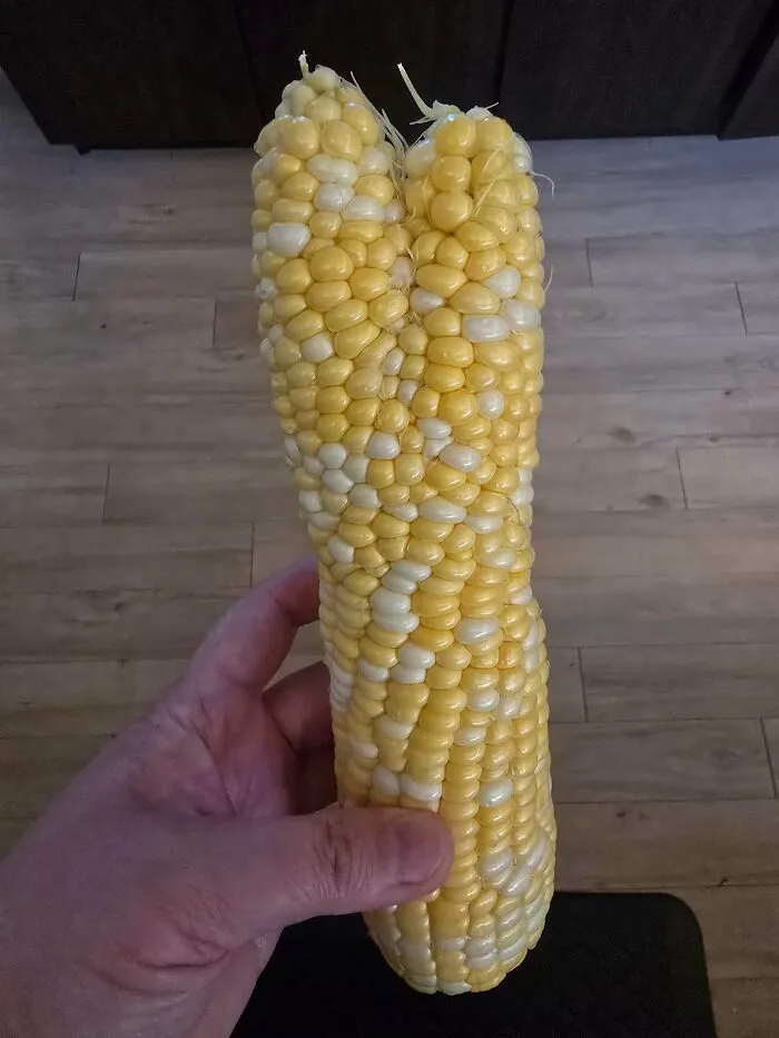 Life Is Corn-Fusing Sometimes, But I'm Just Here To Ear It Out