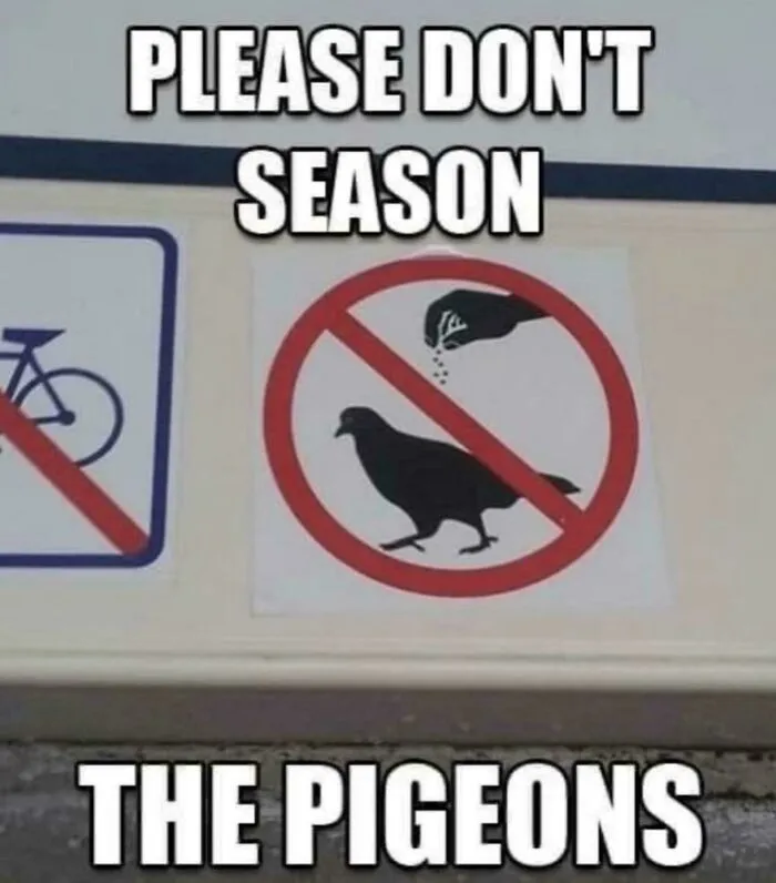 Pigeons: We Prefer Our Garbage Bland, Thanks
