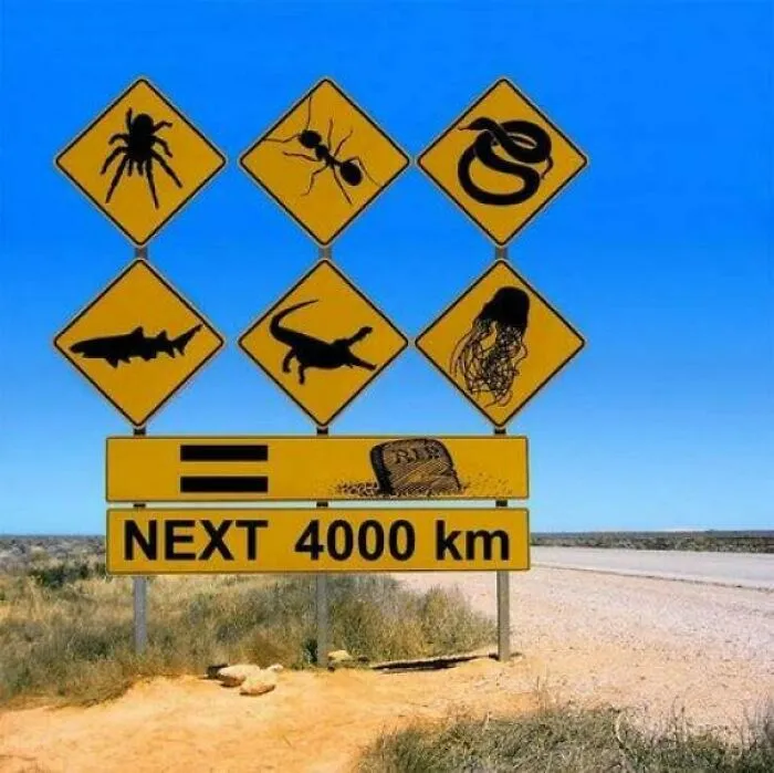 Peligros en los próximos 4000 kms