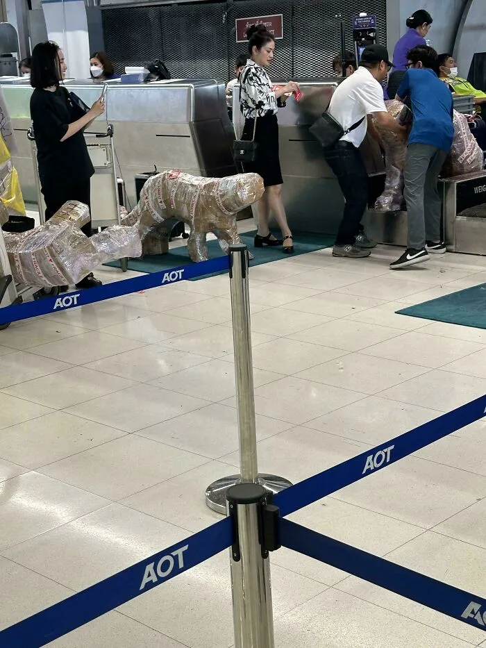 Having Problems At The Airport Check-In