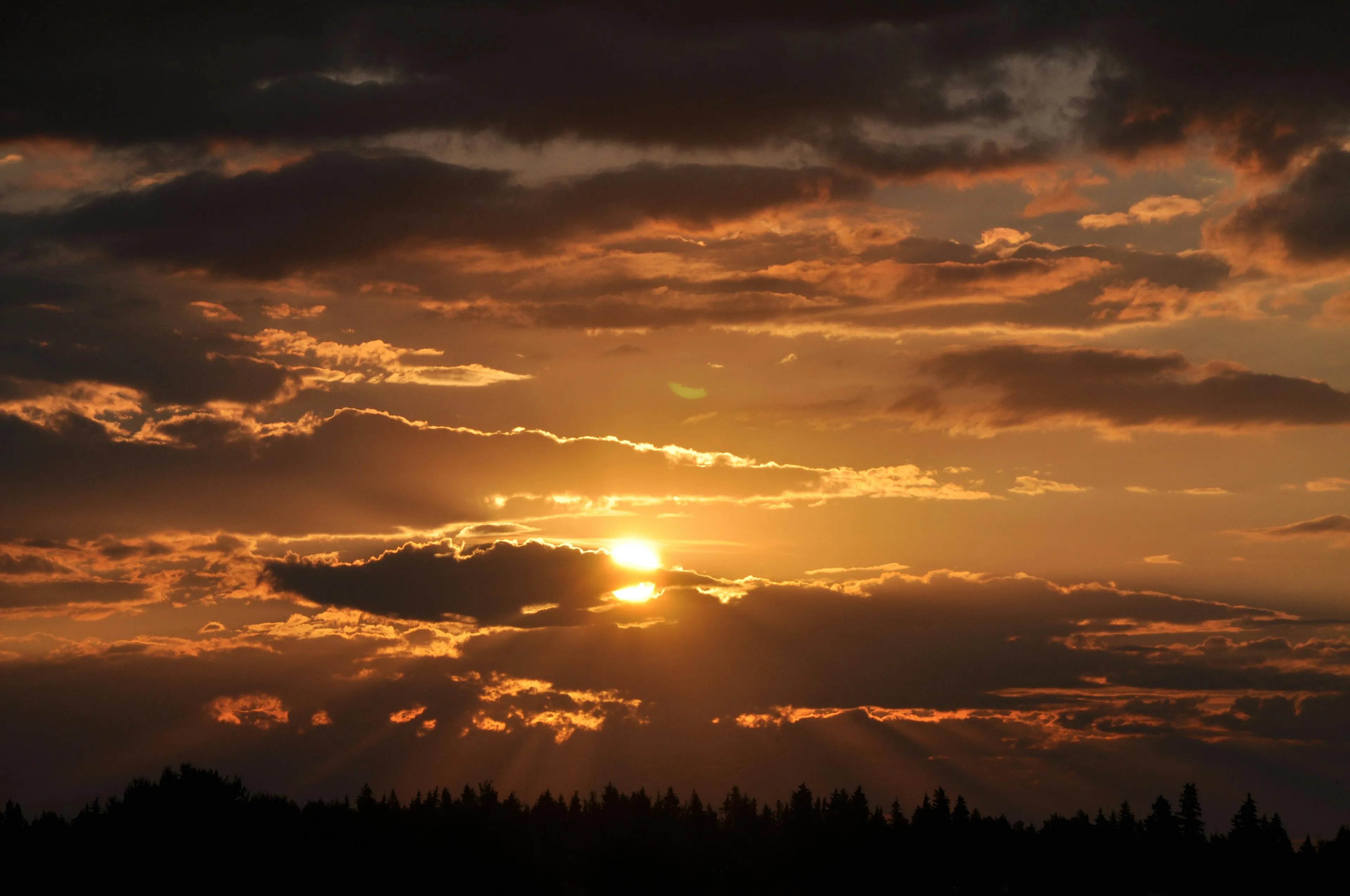 A beautiful sunset with golden rays piercing through dark clouds above a forest, inspiring joy and reflection.