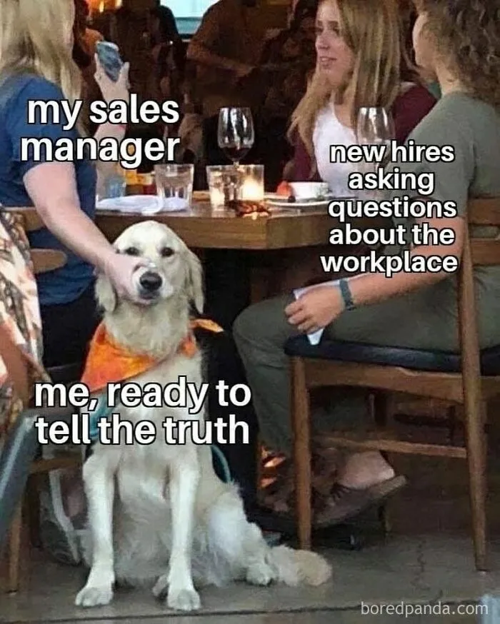 81 Funny Memes That People In Sales May Use To Explain What They Do To Their Families And Friends