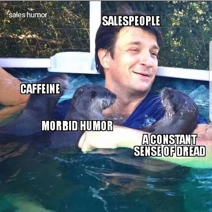 Man in pool with otters labeled caffeine, morbid humor, and dread symbolizing salespeople traits