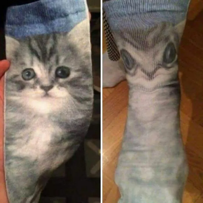 Calcetines de gato