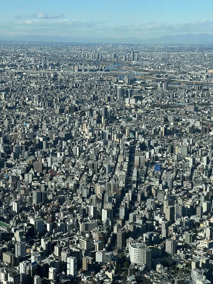 Dense urban cityscape with countless buildings and bridges under a clear sky