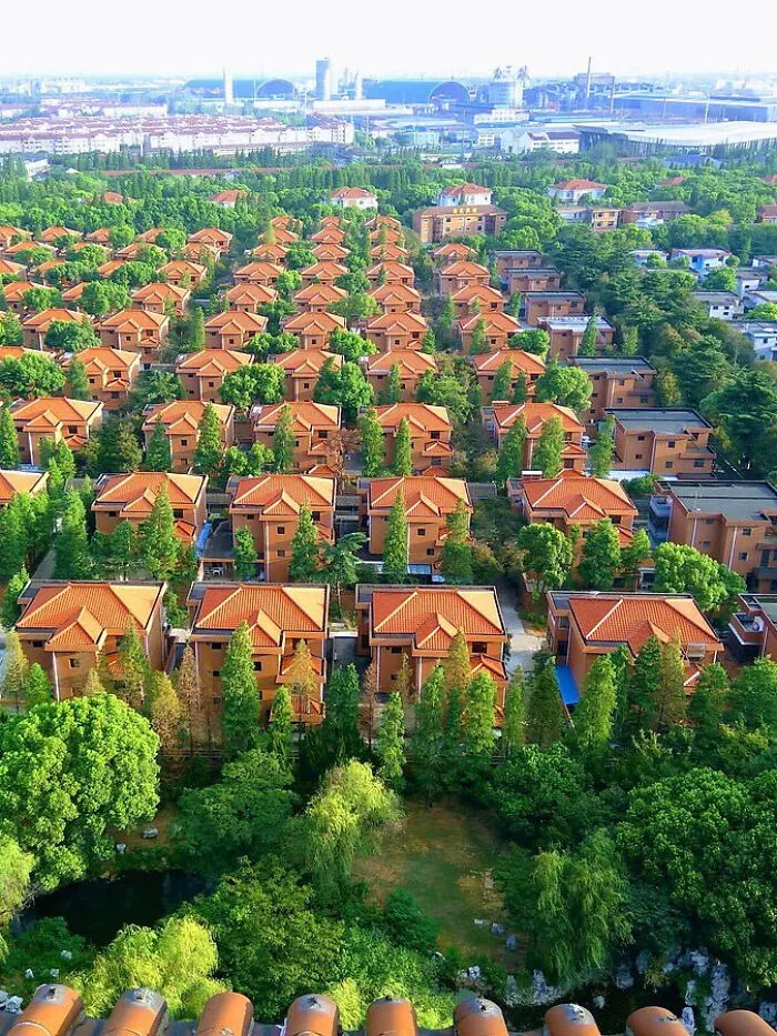 Aerial view of suburban homes with orange roofs surrounded by greenery in an urban area
