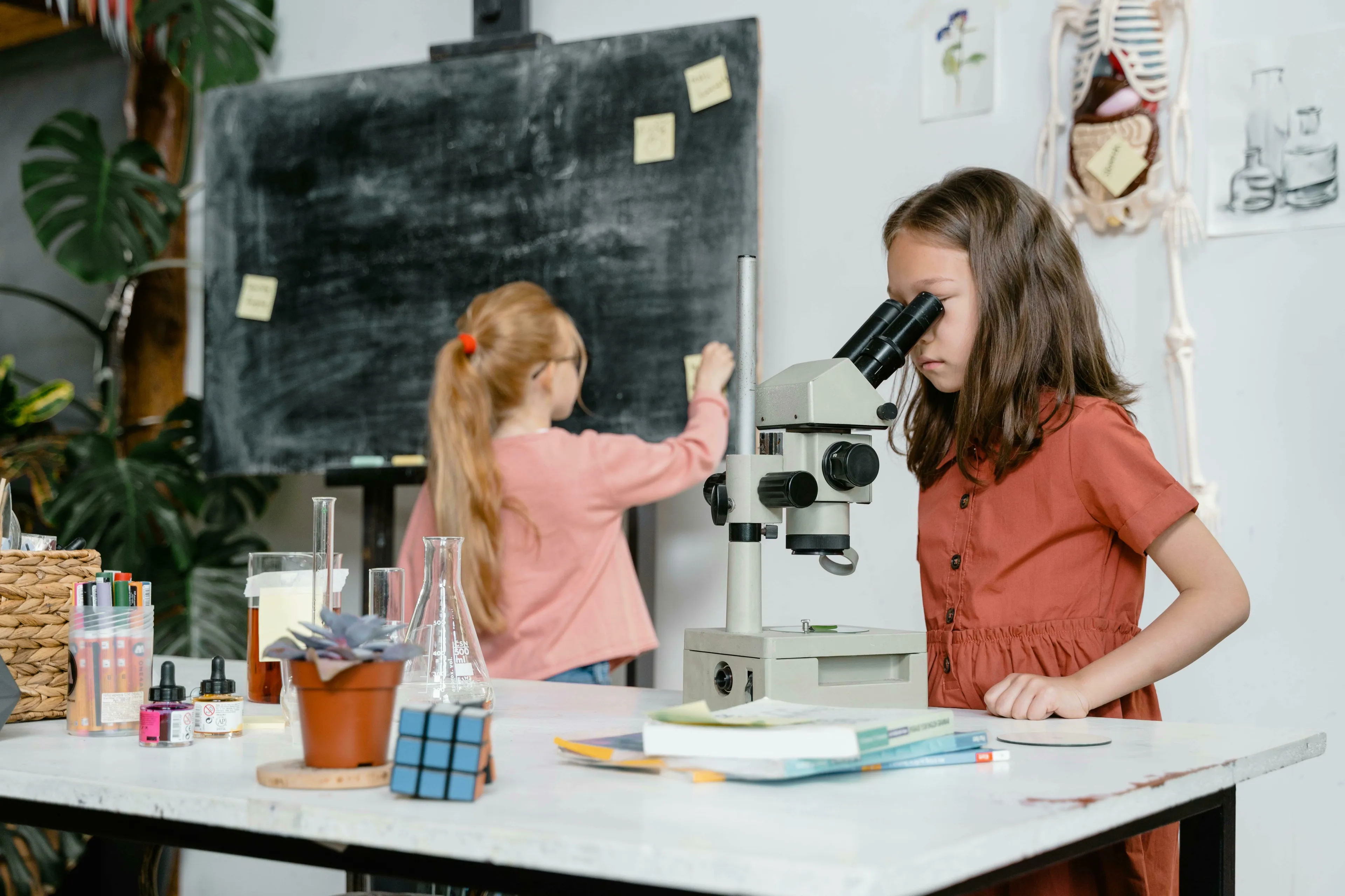 Two young girls engaged in a science general knowledge activity. One looks into a microscope, the other writes on a blackboard.