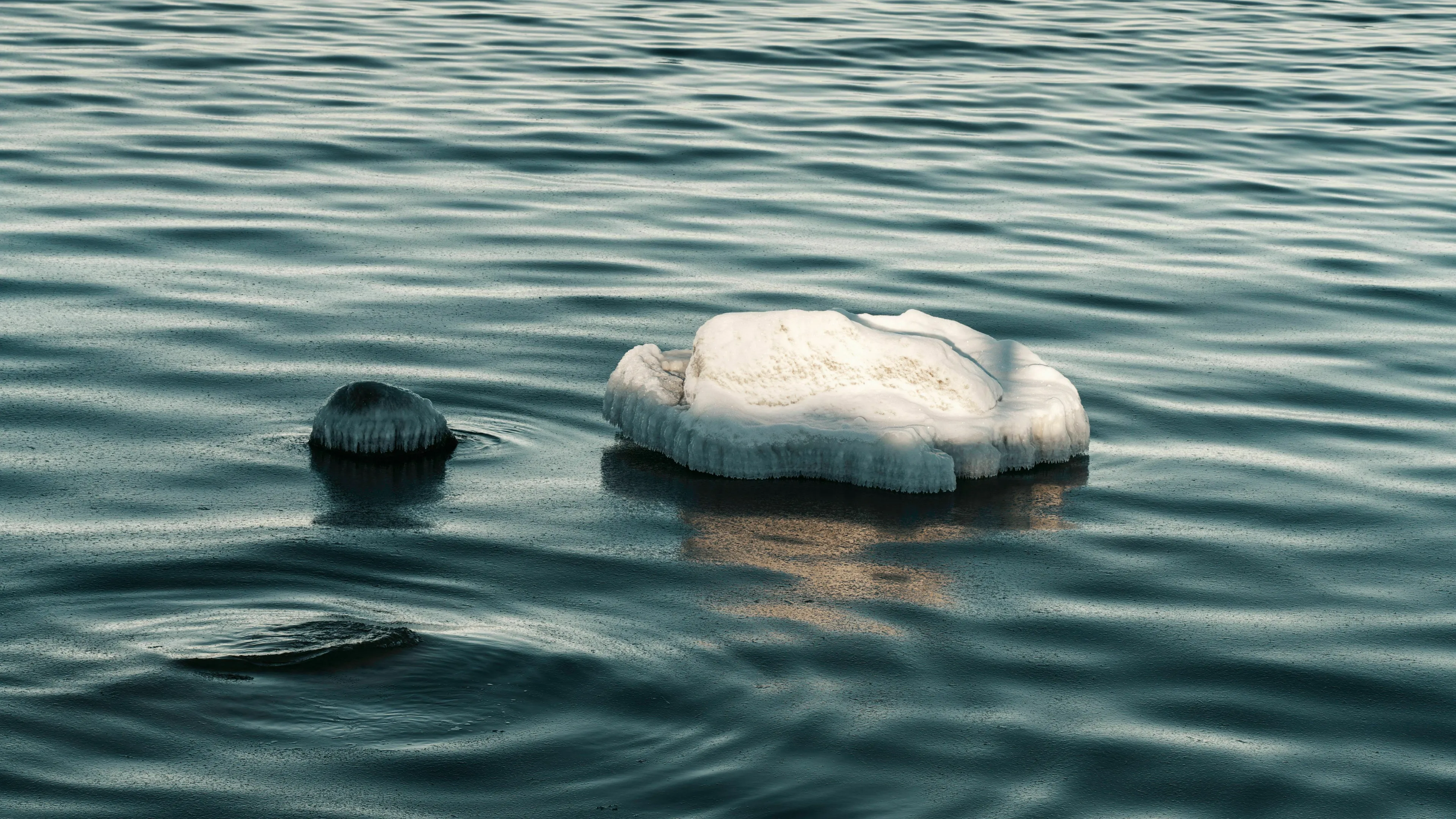 Ice chunks floating on rippling dark water, illustrating science general knowledge. Why does ice float on liquid water?