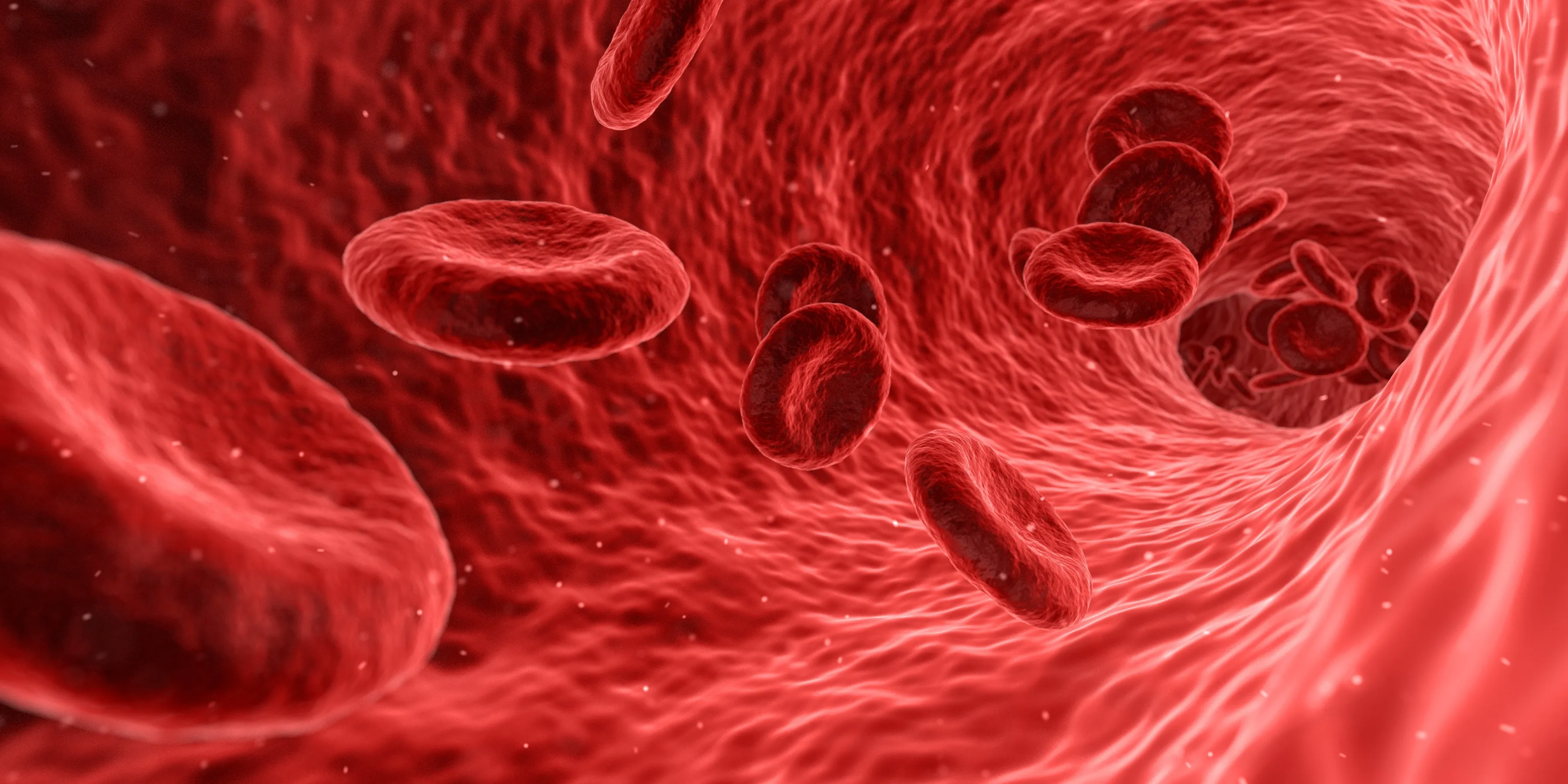 Abstract red, black, and white paint with circular patterns, resembling blood cells. A general knowledge quiz image.