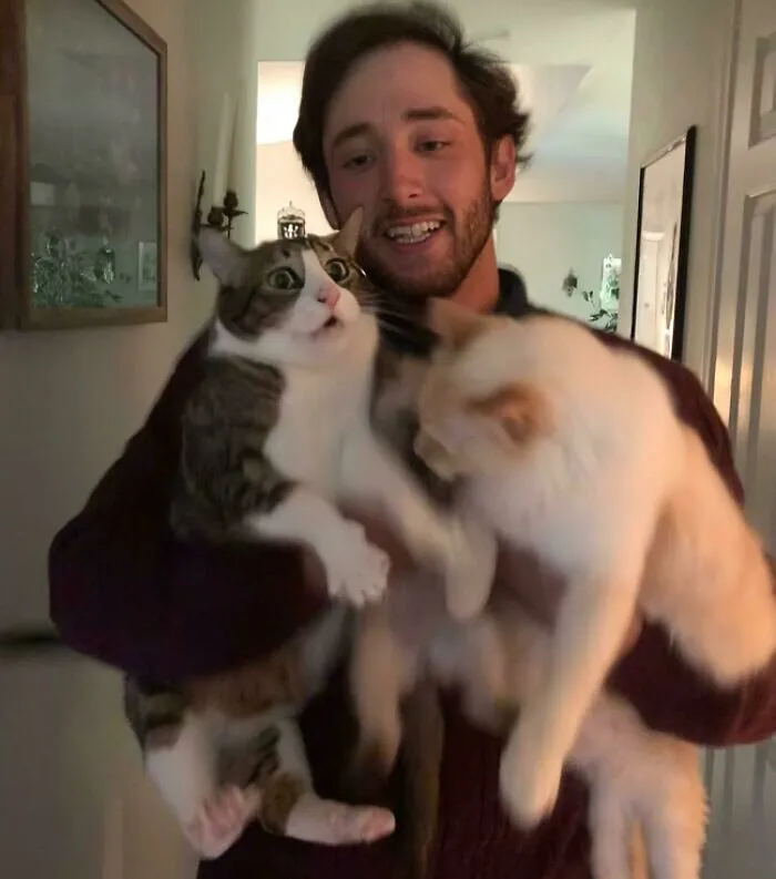 I Attempted To Take A Pic With All 3 Of My Cats