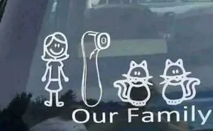 72 Wild Bumper Stickers That Made A Statement And Revealed Everything There Is To Know About The Driver (New Pics)