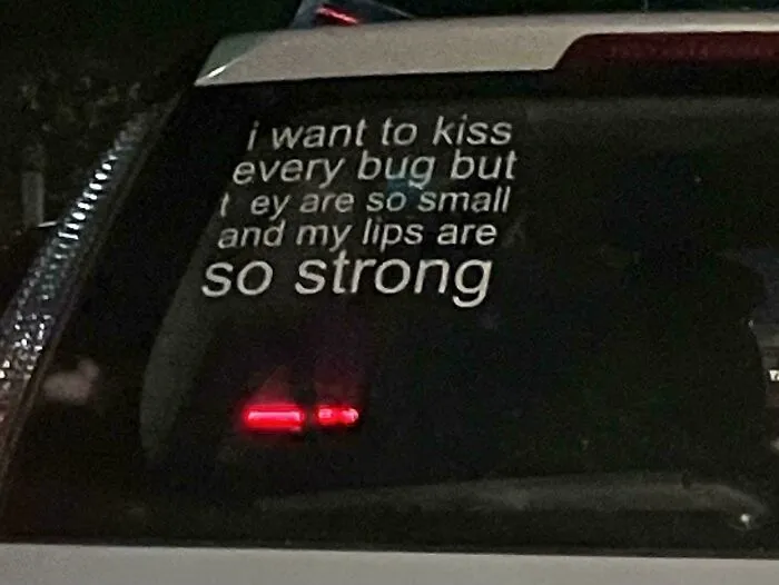 A close-up of a car's rear window featuring a funny bumper sticker about kissing bugs.