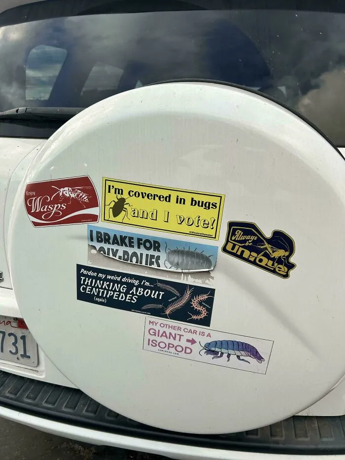 Various funny bumper stickers on a white spare tire cover, including I'm covered in bugs and I vote!