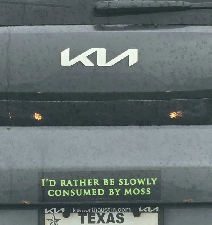 Wild bumper sticker: ID RATHER BE SLOWLY CONSUMED BY MOSS on a car.