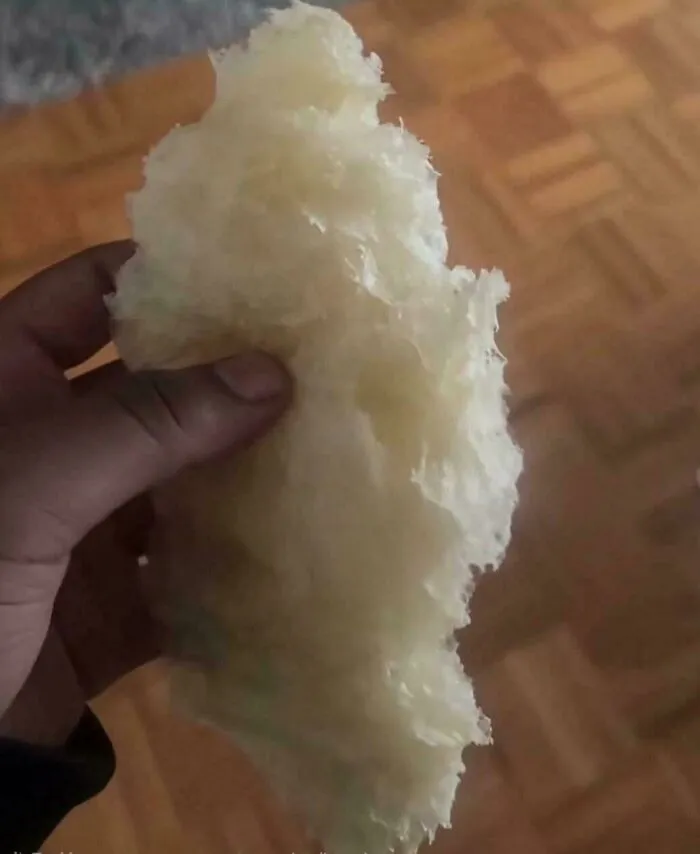 A hand holding a chunk of shredded lard or fat showing questionable food combos.