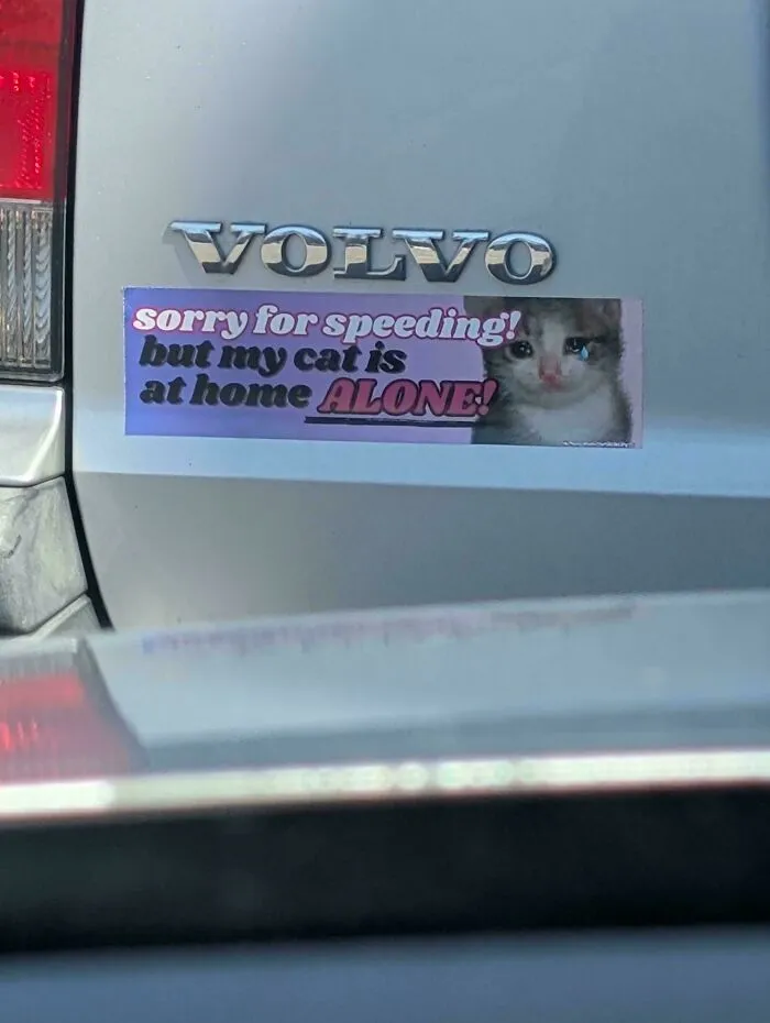 Saw This Today 