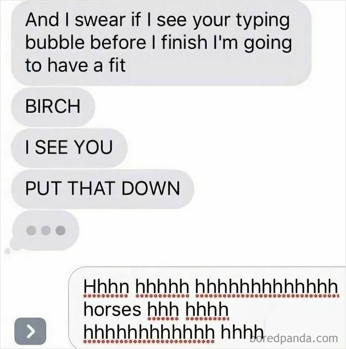 Horses