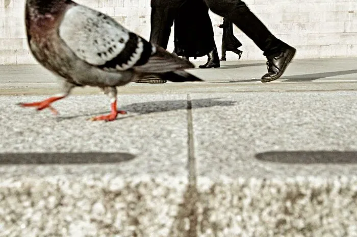 Matt Stuart - Trafalgar Square, Londres ( 2004 )