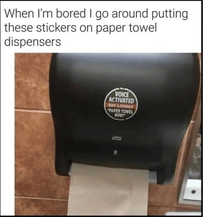 "Paper Towel Now!"