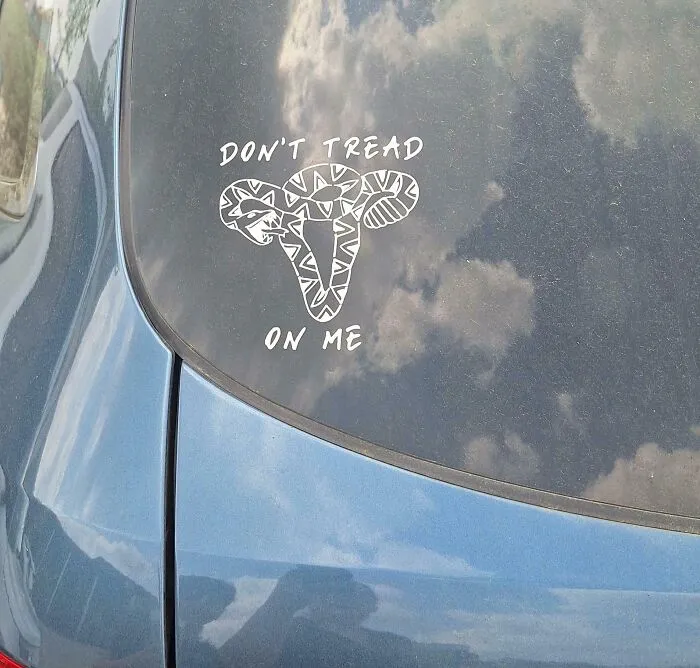 Spotted In Texas