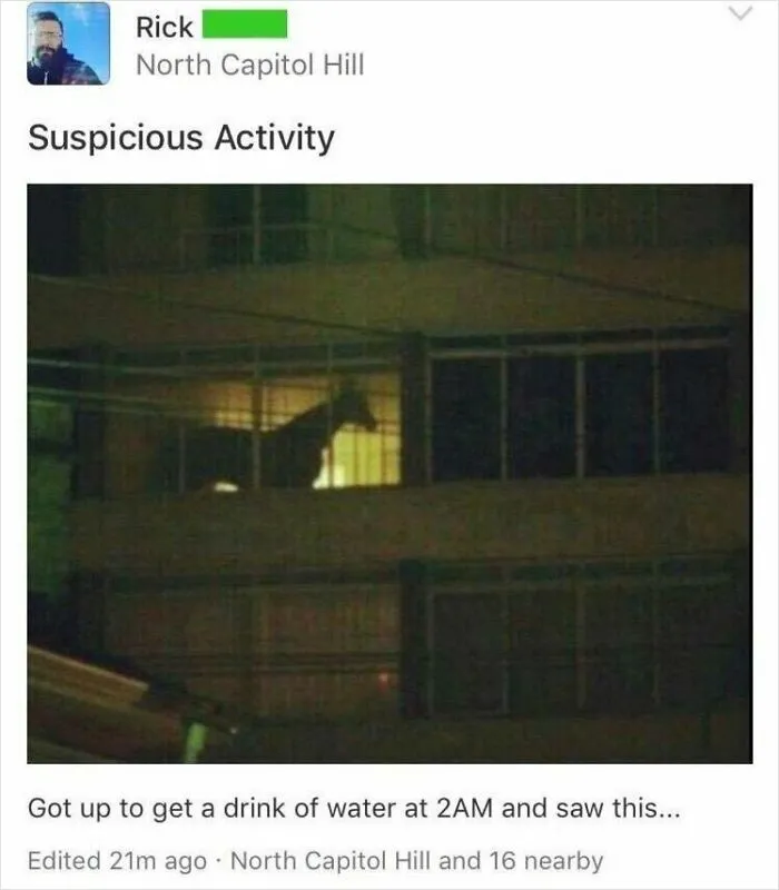 Nextdoor Can Be So Much Fun