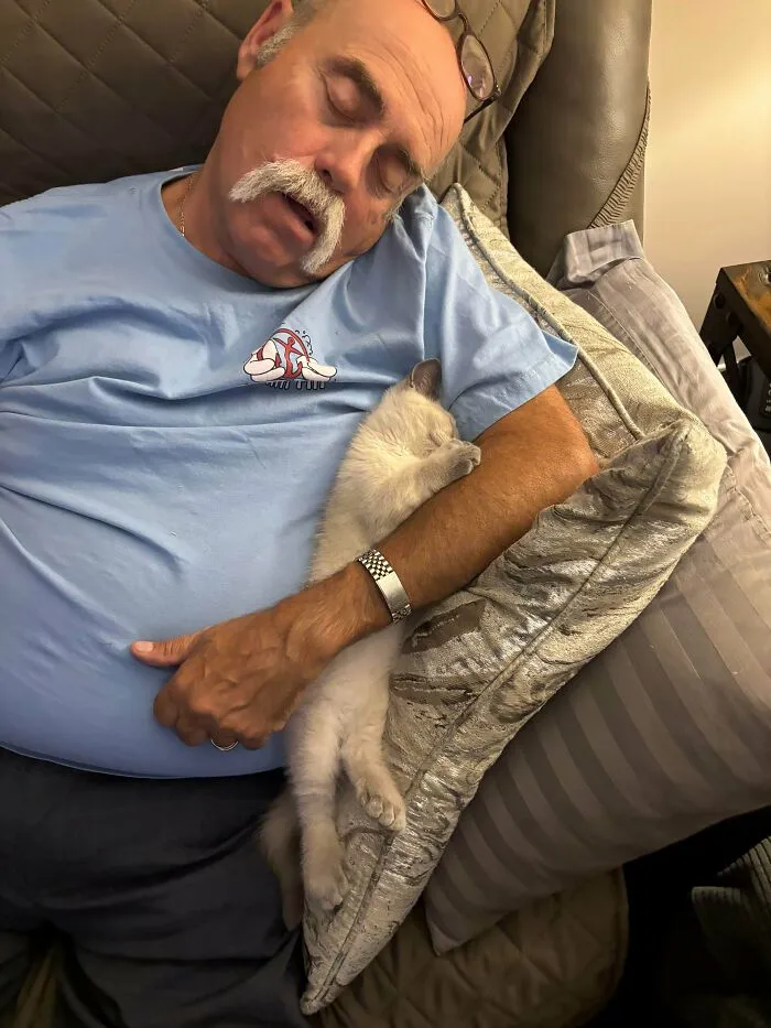 My Dad Fell Asleep With His New Kitten, Casper