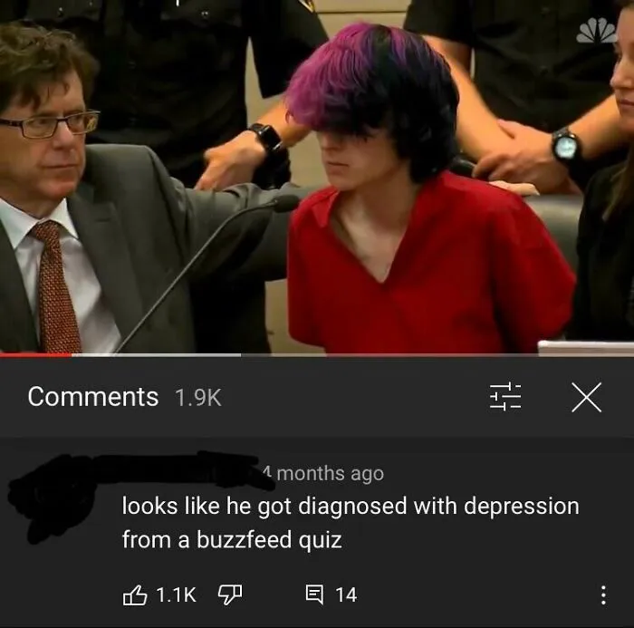 Hair Salon Disasters: A young person with purple and black hair in a courtroom setting, illustrating a hair disaster.