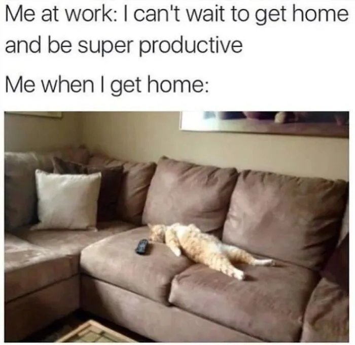 36 Funny Cat Posts From This Page That Perfectly Sum Up Living With Them