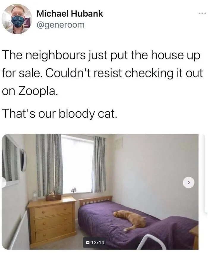 36 Funny Cat Posts From This Page That Perfectly Sum Up Living With Them