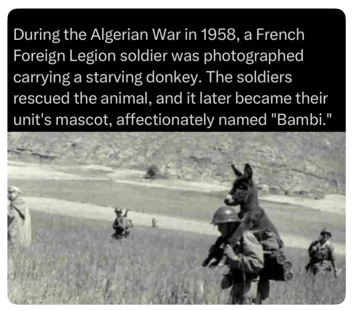 71 History Posts That Sent People Down Unexpected Rabbit Holes