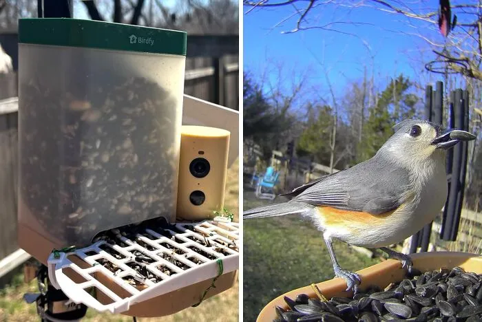 Setting Up A <a Style="Display:inline;" Href="Https://Www.amazon.com/Birdfy-Recognition-Waterproof-Birdlovers-Lifetime/Dp/B0fvshn3bz?ie=utf8&th=1&linkcode=ll2&tag=bpmoose-20&linkid=480a4e0a8cfdd2202989721525937943&language=en_us&ref_=as_li_ss_tl" Target="_blank">  <span Style="Font: Inherit; Color: #d74b1f;"> Camera Bird Feeder </Span> Means Dad Finally Gets A Front Row Seat And Photographic Evidence Of Everything Happening In The Backyard While He Sits Completely Undisturbed Inside With His Coffee