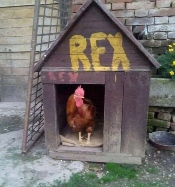73 Cursed Images From This Weird Corner Of The Internet (New Pics)