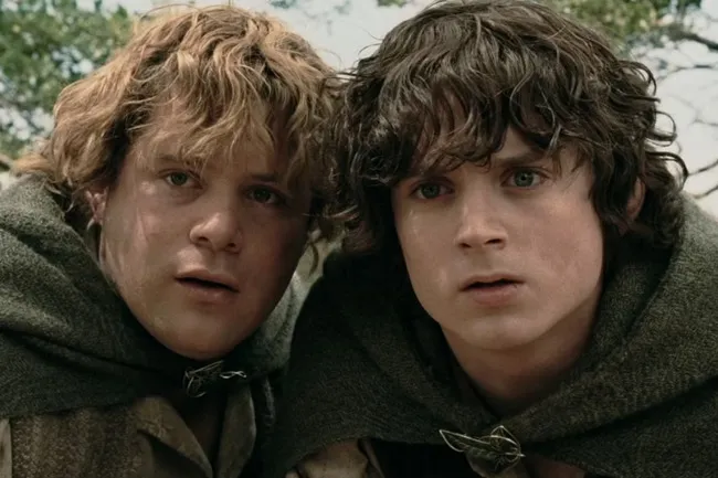 Close-up of Frodo & Sam, the iconic duo, looking wide-eyed and slightly fearful, dressed in cloaks.